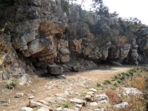 Cavernas Saptaparni, Rajgir