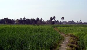 Índia rural