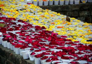Oferendas no Jardim de Jetavana, Sravasti