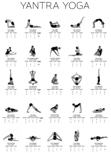 Yantra Yoga - asanas