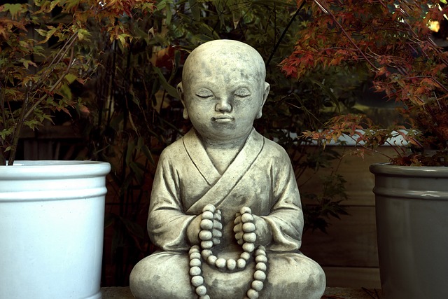 Meditação budista