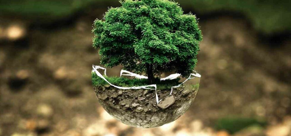Protecção ambiental e ecologia - Ecologica e os preceitos éticos