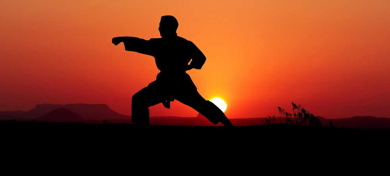 Karate, Budo, Artes Marciais, Zen