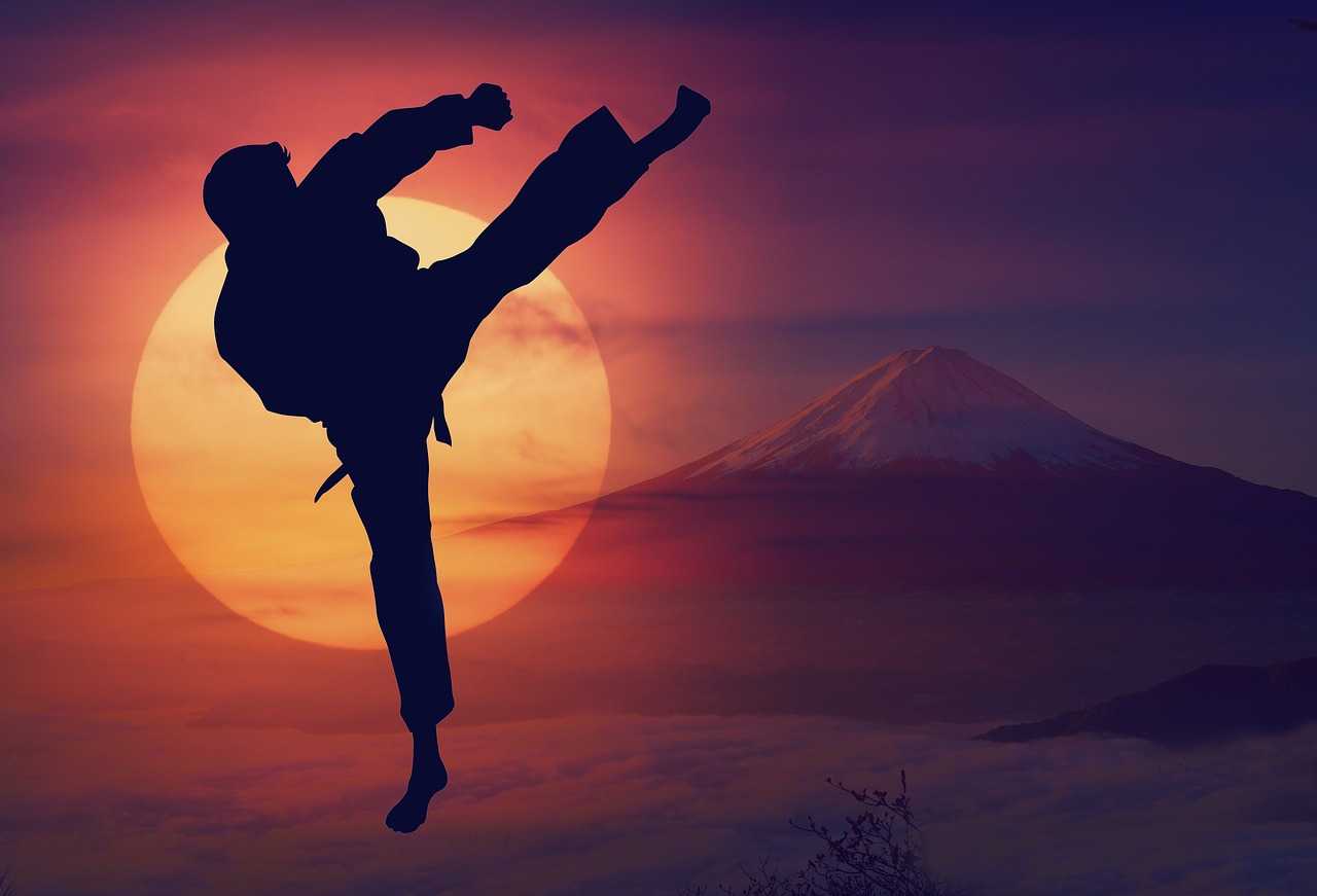 Karate, Budo, Artes Marciais, Zen