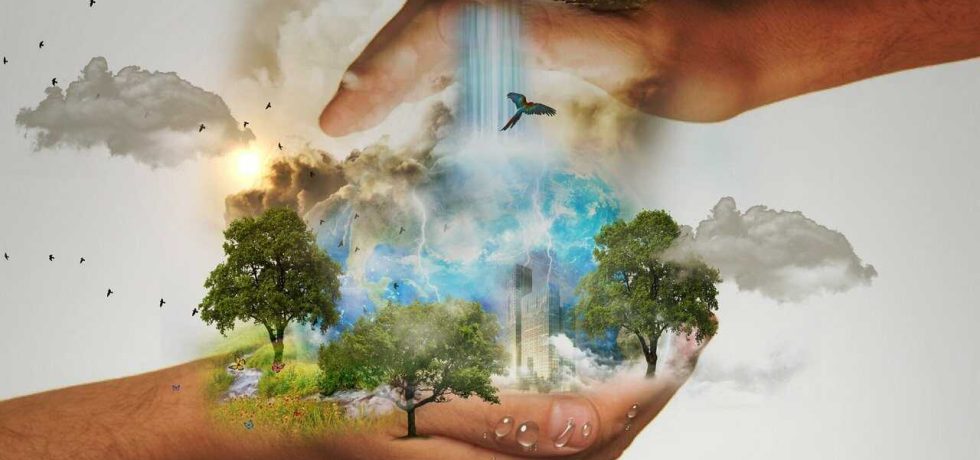 Ação Social, Proteção Ambiental